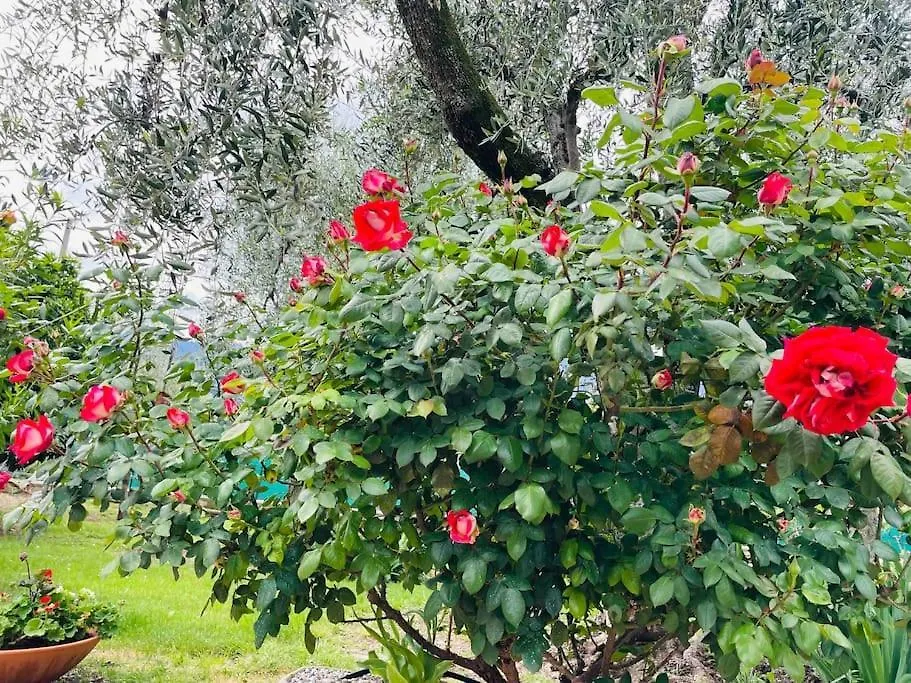 Apartmán Casa Viktoria Malcesine